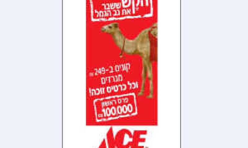 [צילום: יח"צ]